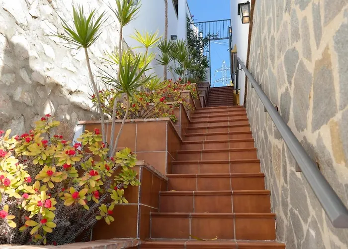 Pet Friendly Appartement Mijas