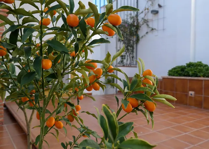 Apartamento Pet Friendly