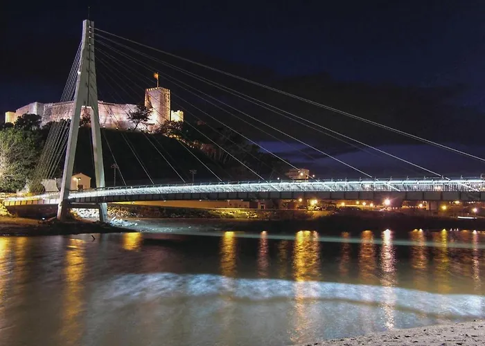 Pet Friendly Apartment